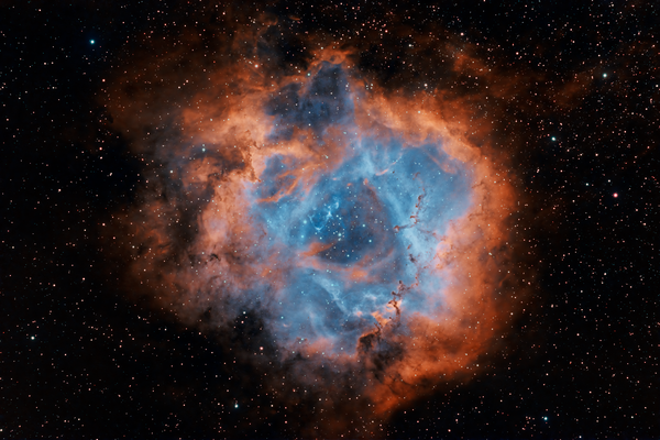 NGC 2244 Rosette Nebula - 01/2023