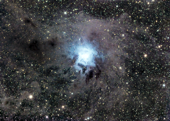 NGC 7023 Iris Nebula - 07/2022