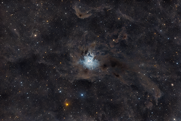 NGC 7023 - Iris Nebula - 05/2025