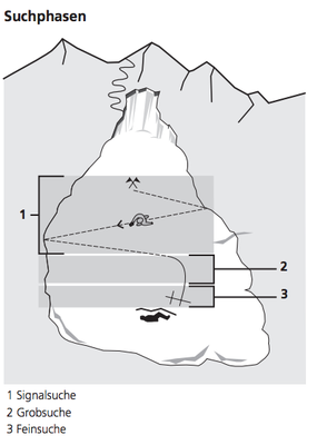 Suchphasen (aus SAC J+S Handbuch Bergsport 2010)