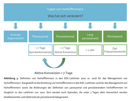 Quelle: Deniz Aktolga, 4.3.2022, "Einfluss der Definition von paroxysmalem und persistierendem Vorhofflimmern auf das klinische Outcome der Vorhofflimmerablation"