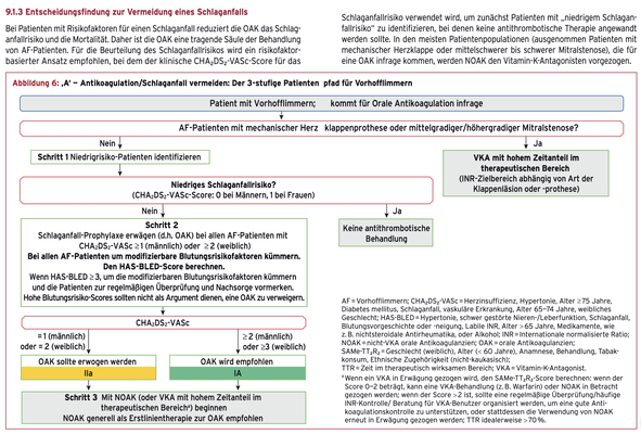 Quelle: DGK-Leitlinien, 2020, Pocket-Guide: "Vorhofflimmern: Diagnose & Behandlung"