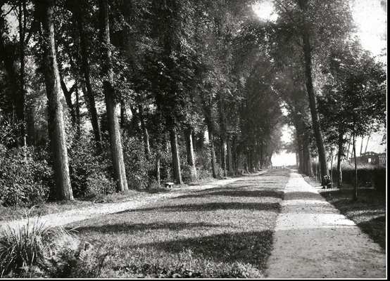 Parc de la Dodaine