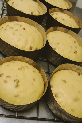 Panettoni in cella di lievitazione