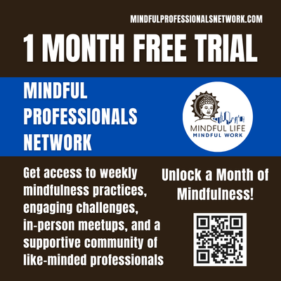 Mindful Professionals Network