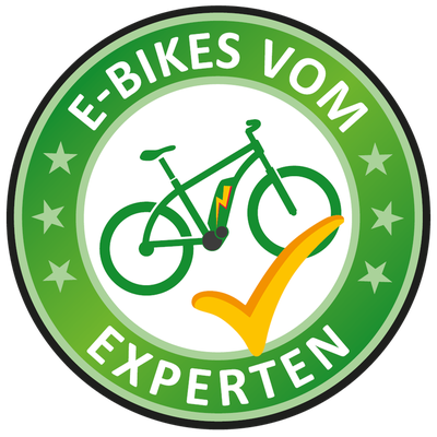 E-Motion Experts E-Bikes von Experten in Hamburg