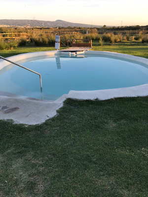 Bagnaccio
