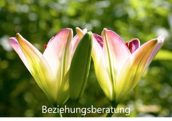 Beziehungsberatung
