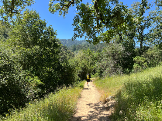 Windy Hill, obe ah Palo Alto