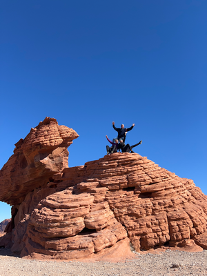 Im Valley of Fire so fescht Freud gha ah de rote Stei :P