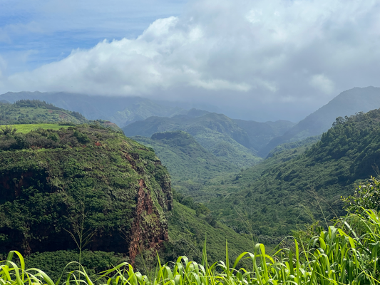 Am Ziistig ischs richtig Waimea Canyon gange, so am 9i nachdem de Fäbe sin halbe Tag (4 Stund) gschaffed het. Ja - er isch am 4:45 ufgstande