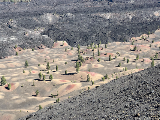 Painted Dunes :)