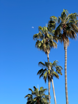 En Abstächer-Spaziergang uf Stanford am Abig