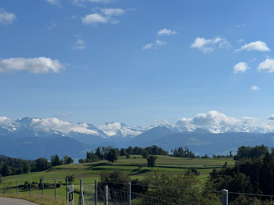 Nachem Ufruuhme am Sunntig ufem Heiweg :)