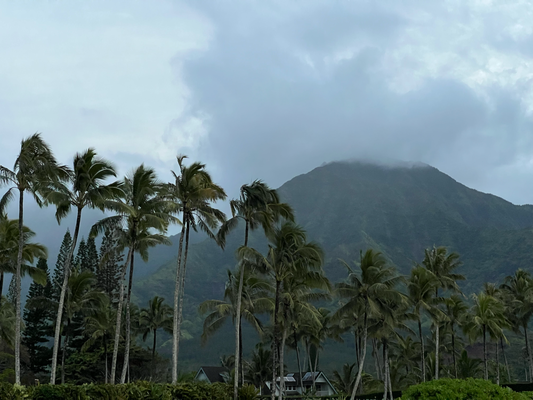 Kaua'i Wetter - immer wieder mal n kurze Regegutsch, defür isch alles schön grüen