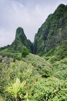 The Needle im Iao Valley
