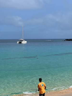 Ah de Waimea Bay Beach am Sunntig hets sogar zwei Seeleue gha am umeschwümme :)