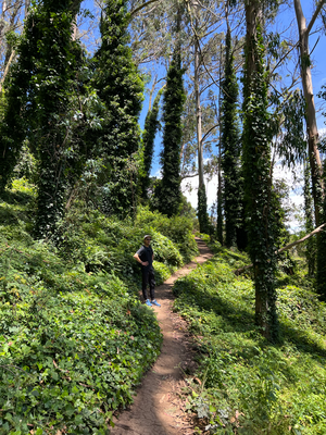 De Weg im Wald ine isch no super grüen gsi, usse am wald aber extrem troche.