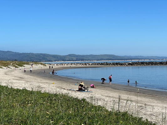Halfmoonbay Friday early evening!