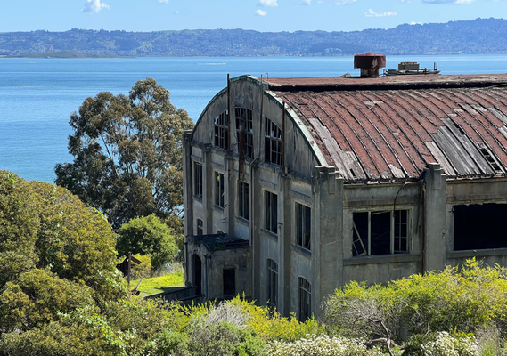 Sunntig - Uusflug mit de Fähre uf Angel Island!