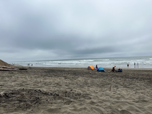 Ocean Beach isch eich fast immer ä gueti Idee, ä bi Wulche und Karl