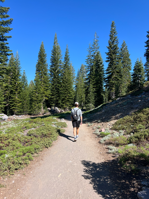 Am Mt Shasta :)