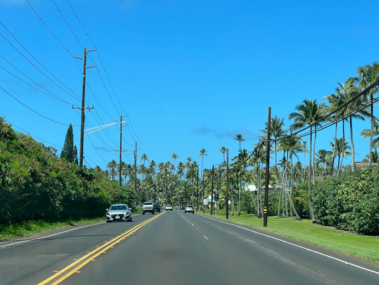 Roadtrip het gstarted nach 1.5h warte ufs Auto - immer schön langsam uf dere Insle; Hawaiian Time