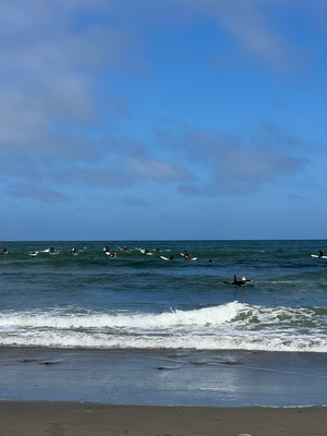 Sunntig; Nomal Surfe!!! :D