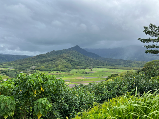 Ufem Weg retour zum AirBnB na de View ufs Hanalei Valley gnosse