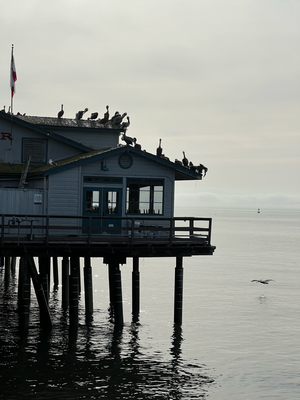 29. Dez: Santa Barbara Pier zum starte :)