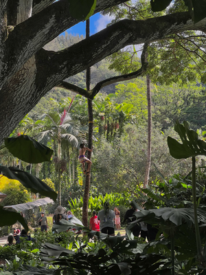 Waimea Valley - grad per Zuefall ah dem Tag wo da Hawaiianischi Games sind