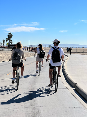 ... richtig! Velofahre am Venice Beach entlang :D