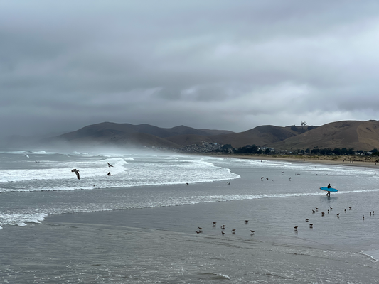 Morro Strand State Beach