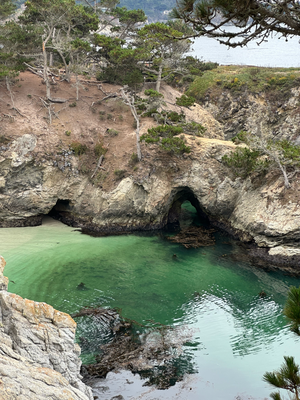 Point Lobos State Park