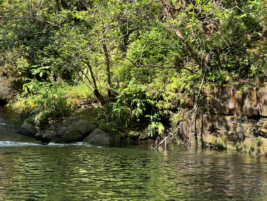 Ufem Weg zum Hanakapi'ai Wasserfall