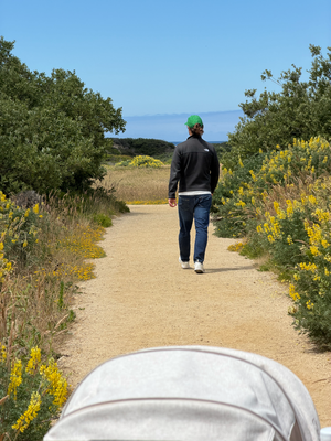 Ano Nuevo State Park