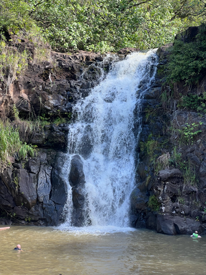 Waimea Falls - e Touriste-Falle :P