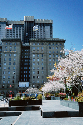 Spring in the City