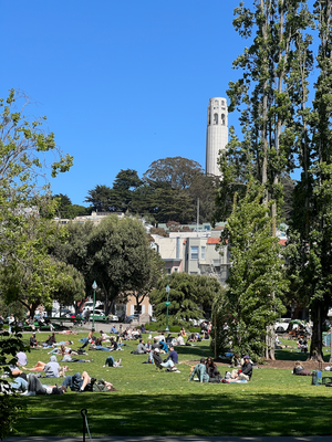 Busy Parks