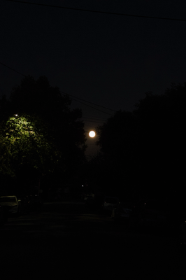 Full Moon