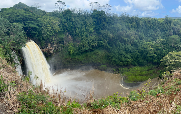 Wailua Falls biz dräckig vom Räge ih de letstä Täg