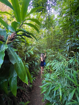 Denn en "Hike" zude Lulumahu Falls