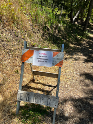 Achtung Wespi - klaaar hets de Fäbe gnah :')
