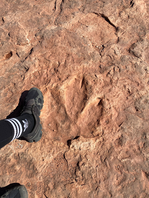 Dinosaurier Tracks und es paar betrunkni Indigeni vom Halloween gester :P