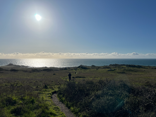 Windy, wild, dramatic coast of Northern California