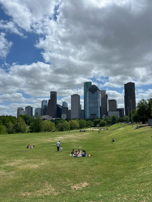 Buffalo Byou Park in Houston