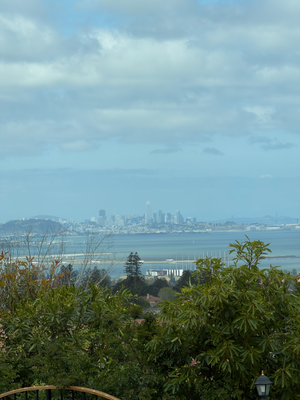 SF in the back