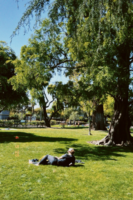 Chille und läse im Washington Park bi eus :)