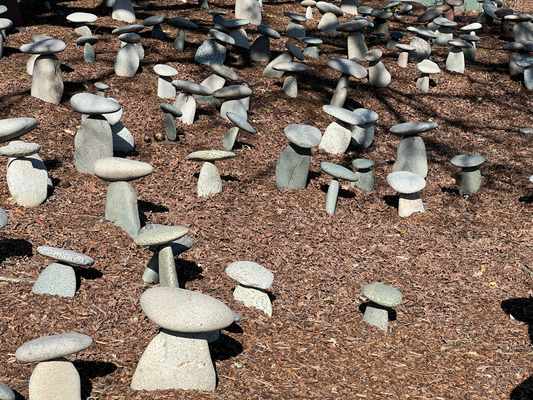 Mushroomforest in Yountville