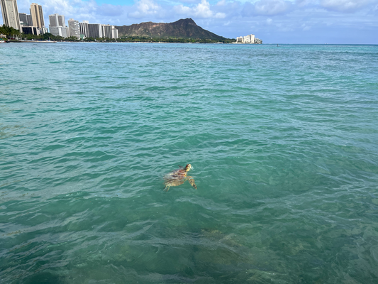 Mitem Diamond Head im Hintergrund - love it!